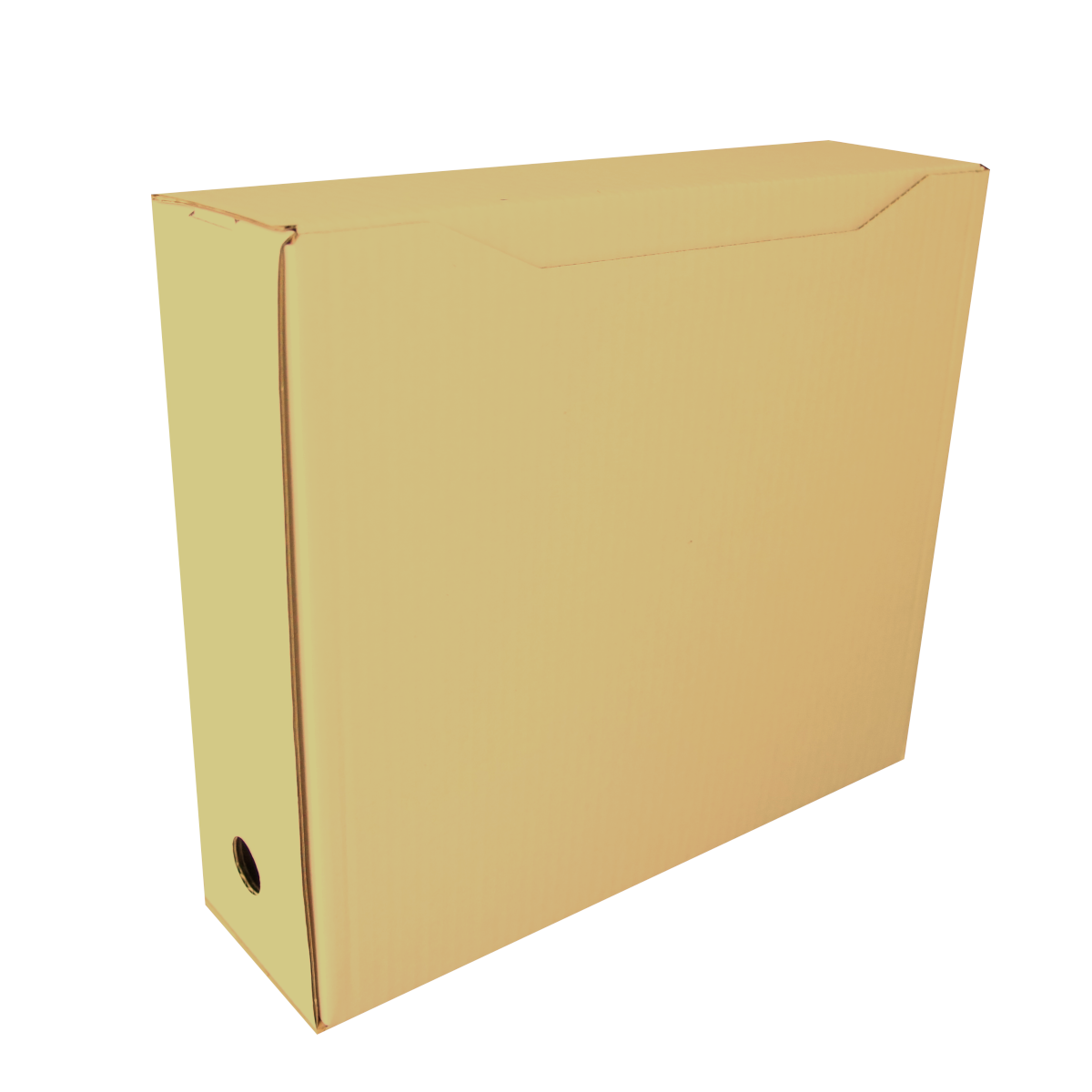 Pudło archiwizacyjne BOX 100